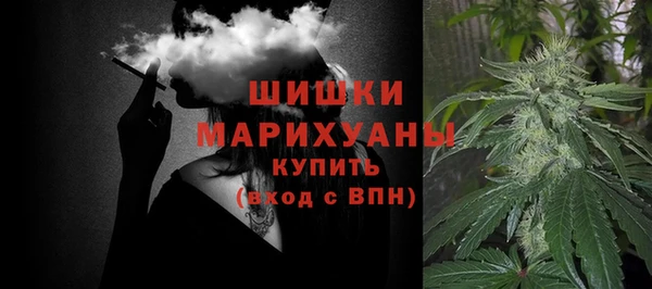 сатива Абаза