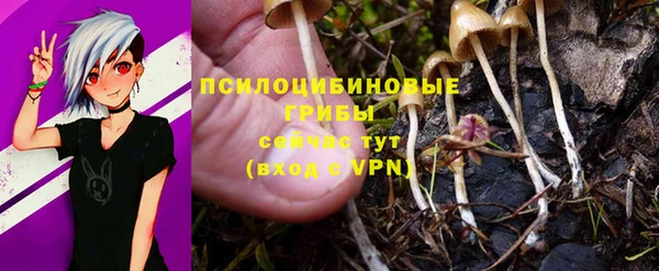 тгк Алзамай