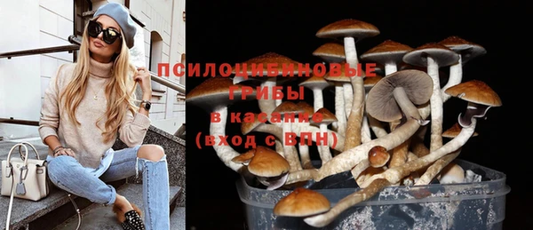 сатива Абаза