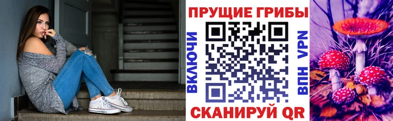 Галлюциногенные грибы Psilocybe  купить наркотик  Бокситогорск 